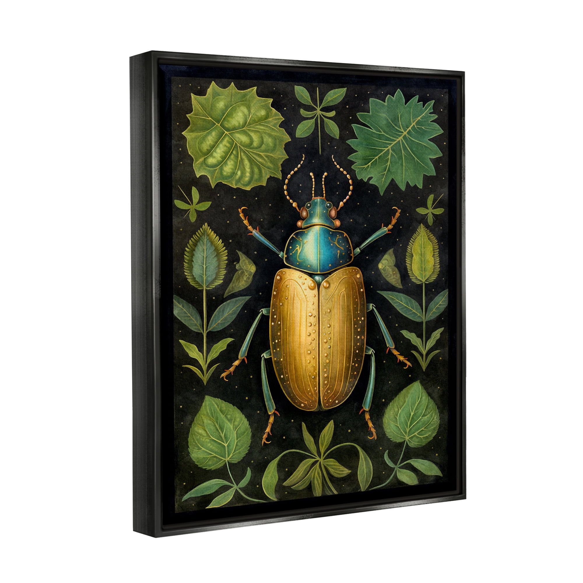 Stupell Industries Botanical Beetle Study Animals & Insects Painting Black Floater Framed Canvas Art Print Wall Art, 17 x 21