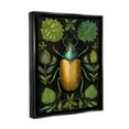 thumbnail image 4 of Stupell Industries Botanical Beetle Study Animals & Insects Painting Black Floater Framed Canvas Art Print Wall Art, 17 x 21, 4 of 10