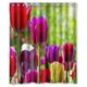 thumbnail image 1 of ABPHQTO Cortina de Ducha Flores Cortina de Ducha Impermeable 150x180 cm, 1 of 2