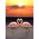 thumbnail image 1 of Taladro Diamante Pintura (DE4178) 5D DIY Completo Pájaro Bordado Mosaico Craft Kit (WX044) 20X30cm Hugtrwg Para estrenar, 1 of 1