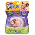 thumbnail image 2 of Little Live Pets Mouse Single Pack, Crumbles, 2 of 3
