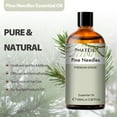 thumbnail image 2 of PHATOIL 3.38 fl.Oz Pine Needles Essential Oils for Humidifier Aromatherapy Bath, Pine Scented Oil for Diffuser, 2 of 8