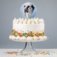 thumbnail image 4 of Acrylic Shih Tzu Dog Proud Blue Cake Topper Party Decoration for Wedding Anniversary Birthday Graduation, 4 of 7