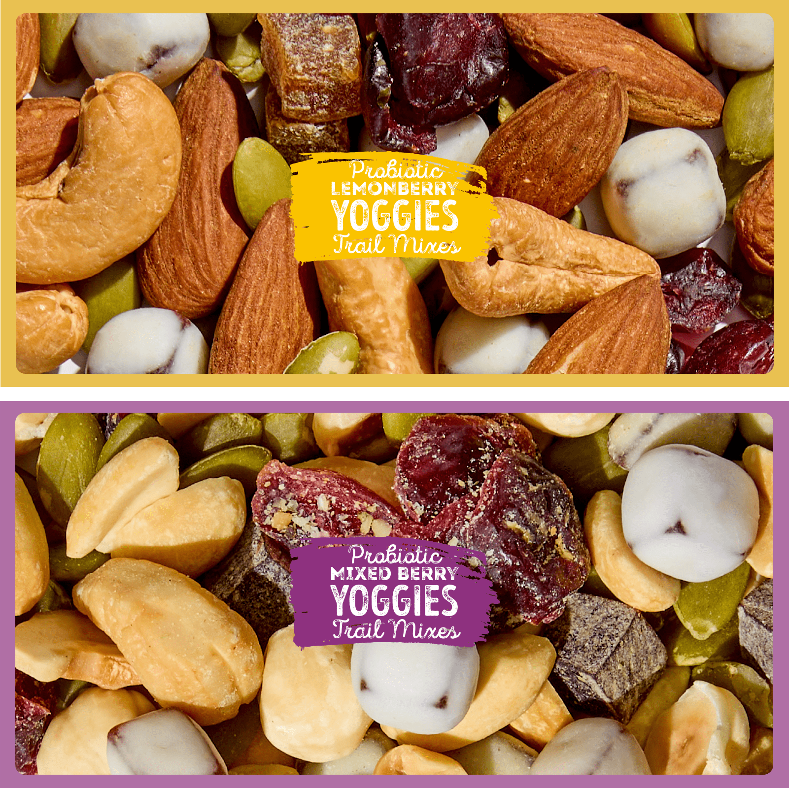 Nature's Garden Probiotic Yoggies Trail Mix Snack Packs 24oz (1oz x 24) - Pack of 4 - Yogurt Covered Fruit & Nut Snack for Adults & Kids - High Fiber, Gluten-Free, No Artificial Flavors Variety Pack