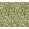 Oceanside 96COE Glass Frit - OLIVE GREEN MEDIUM