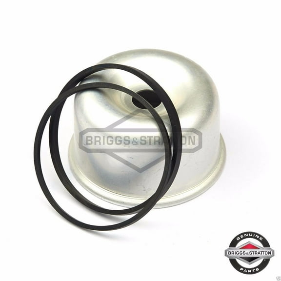 Briggs & Stratton Float Bowl | 796611
