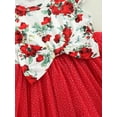thumbnail image 6 of TSEXIEFOOFU Toddler Girls Dress, Round Neck Fly Sleeve Printed Patchwork Mesh Tulle Hem Dresses, 6 of 8