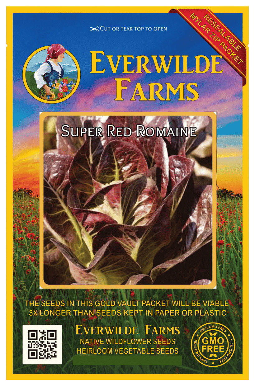 Everwilde Farms 1000 Super Red Romaine Romaine Lettuce Seeds Gold Vault Jumbo Bulk Seed Packet Walmart Com Walmart Com Everwilde Farms 1000 Super Red Romaine Romaine Lettuce Seeds Gold Vault Jumbo Bulk Seed Packet Walmart Com Walmart Com