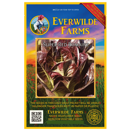 Everwilde Farms - 1000 Super Red Romaine Romaine Lettuce Seeds - Gold Vault Jumbo Bulk Seed (Best Way To Store Romaine Lettuce)