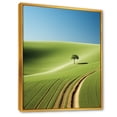 thumbnail image 2 of Designart "Panoramic Meadow In Minimalism" Country Clubs Floater Framed Canvas Prints, 2 of 5