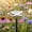 White325, variant on Tuvgenk Outdoor Ceramic Flower-Shaped Bee Waterer, Ground-Insert Butterfly Water Feeder, Garden Courtyard Decorative Ornament (Pink Lotus Style)