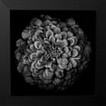 thumbnail image 2 of Carson, Brian 20x20 Black Modern Framed Museum Art Print Titled - Black and White Chrysanthemum, 2 of 5