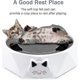 thumbnail image 5 of Cat Toy With Running Mouse Interactive Electronic Squeaky Mouse Kitten Toy, 5 of 5