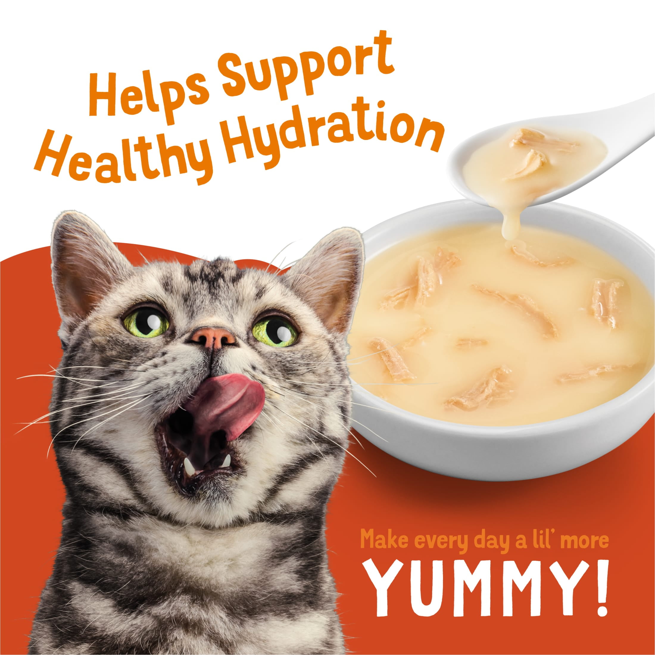 (2 pack) Purina Friskies Lil’ Soups Wet Cat Treats Variety Pack With Sockeye Salmon and With Shrimp, 9.6 oz.