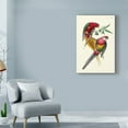 thumbnail image 3 of Trademark Fine Art 'Lemaire Parrots III' Canvas Art by C.L. Lemaire, 3 of 4
