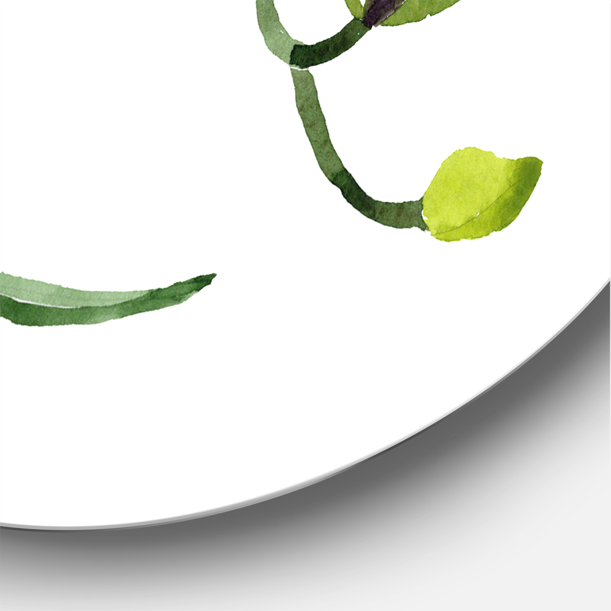 Designart 'Green Orchid Flowers On White' Traditional Circle Metal Wall Art 29x29 - Disc of 29