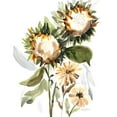 thumbnail image 3 of Talent, Kelley 15x18 Black Modern Framed Museum Art Print Titled - Sundown Sunflowers, 3 of 5