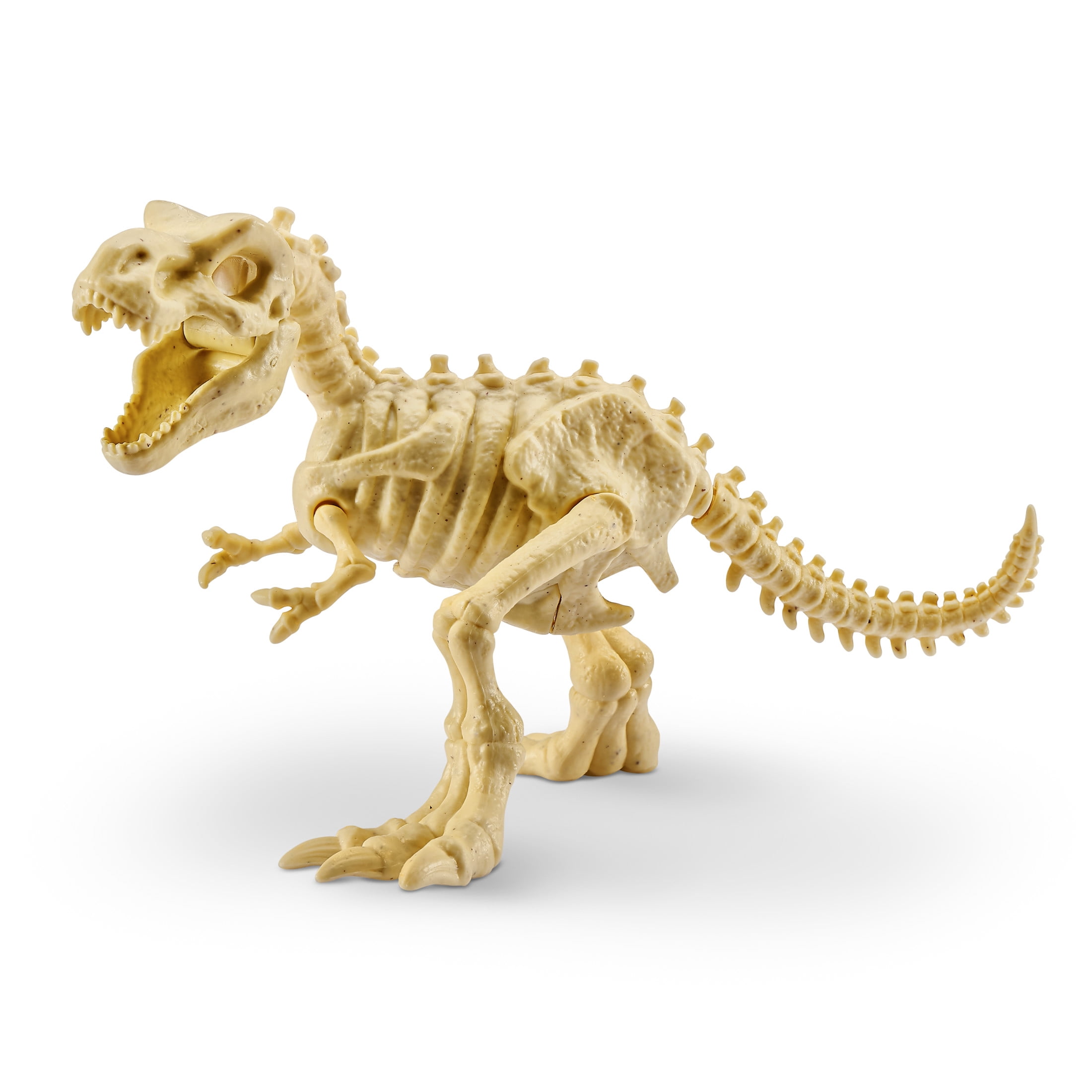 Robo Alive Dino Fossil Find Surprise Unboxing Robotic Toy by ZURU