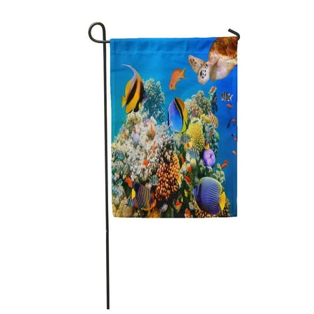 SIDONKU Red Aquarium of Tropical Fish and Turtle on Coral Reef Blue Underwater Sea Deep Garden Flag Decorative Flag House Banner 12x18