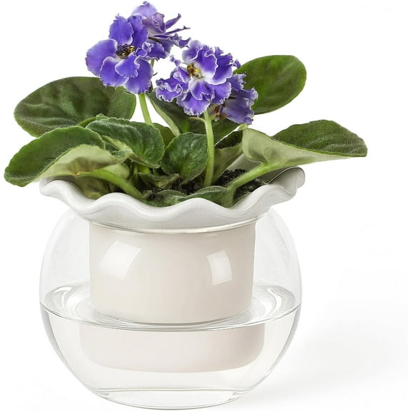 Self Watering Plant Pot, 6 Inch African Violet Pots Maintenance, Glass Self-Watering Planter for Indoor Plants - Ideal Flower Pot for Thriving Indoor Gardens