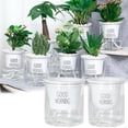 thumbnail image 1 of Travelwant 2 Pcs/Set Small Plant Pots, Double Tier Hydroponic Epipremnum Aureum Self-Watering Flowerpot for Home Office Decoration - Flat Bottom&Round Buttom, 1 of 7