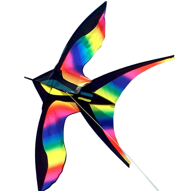 Vivid Swallow Kite with String Windsock for Toy Beginner Teenagers 
