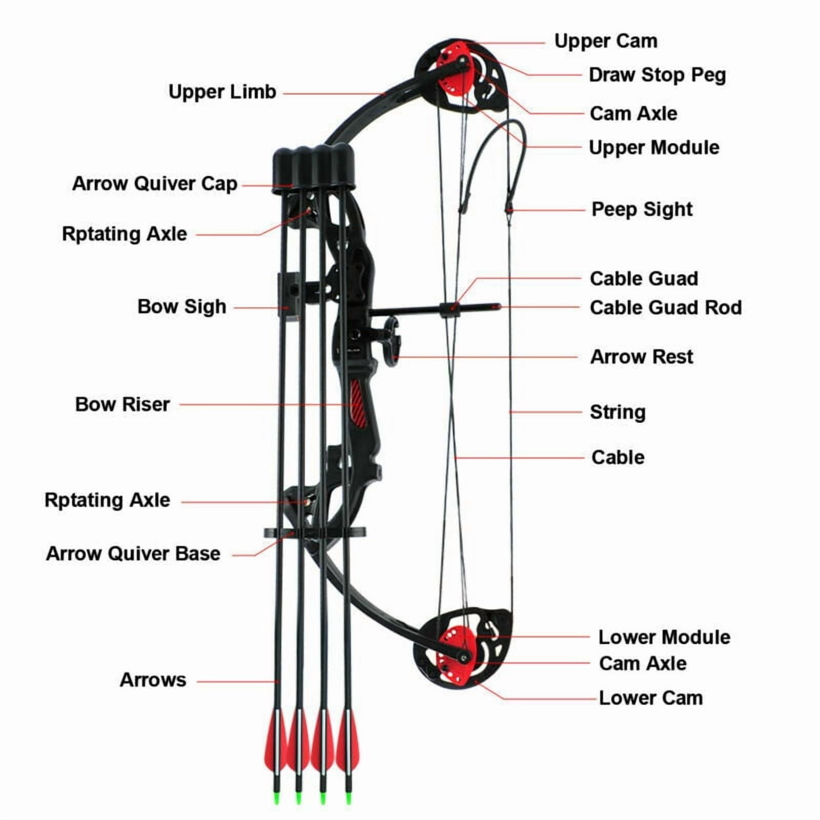 15-29lbs Teens Compound Bow Set Adjustable Twin Cam Hunting Bow for Youth/Teenager and Beginner Entry Level Practice&nbsp;Black