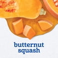 thumbnail image 2 of Alimento para Bebés Gerber Etapa 1 Puré de Calabaza Butternut Paquete de 16, 2 of 9