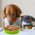 thumbnail image 4 of Agiferg Slow Feed Dog Bowl Insert Interactive Puzzle Maze Feeder For Fast Eaters Prevents Gulping And Vomiting, 4 of 8