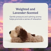 warmies 13” Brown Dog Stuffed Animal, Microwavable Heated Plushies and Weighted Soft Plush Toys