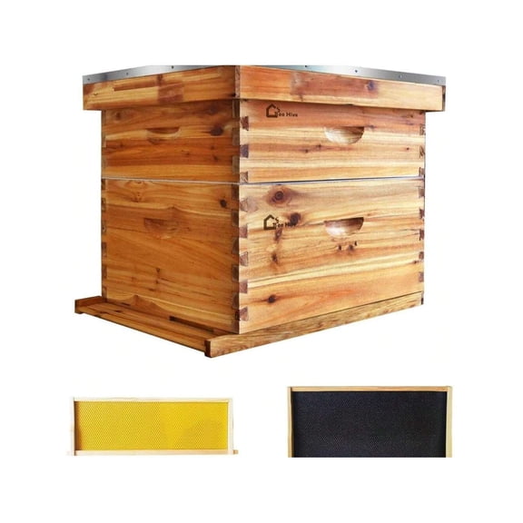 10-Frame Complete Bee Hives And Supplies Starter Kit Dipped In 100% Beeswax, Includes 1 Deep Hive Bee Box And 1 Bee Hive Super With Beehive Frames And Foundation For Beginner Beekeepers