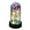 Purple, variant on Inerposs Colorful Artificial Rose Flower, LED Light String Rose in Glass Dome, Valentine's Day Gifts for Her, Birthday Gifts for Women, Romantic Home Decor