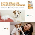 Bitter Apple AntiChew Spray for Dogs, 50ML Natural Deterrent, Prevents Biting & Protects