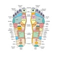 thumbnail image 2 of Art.com Reflexology Foot Map, Artwork Photographic Print by Peter Gardiner, 12" x 16", 2 of 4