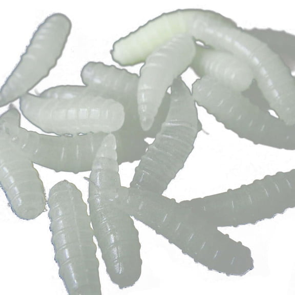Night Glow 50-Count 1.6 cm Soft Bait Maggots for Fishing Noctilucent Grubs
