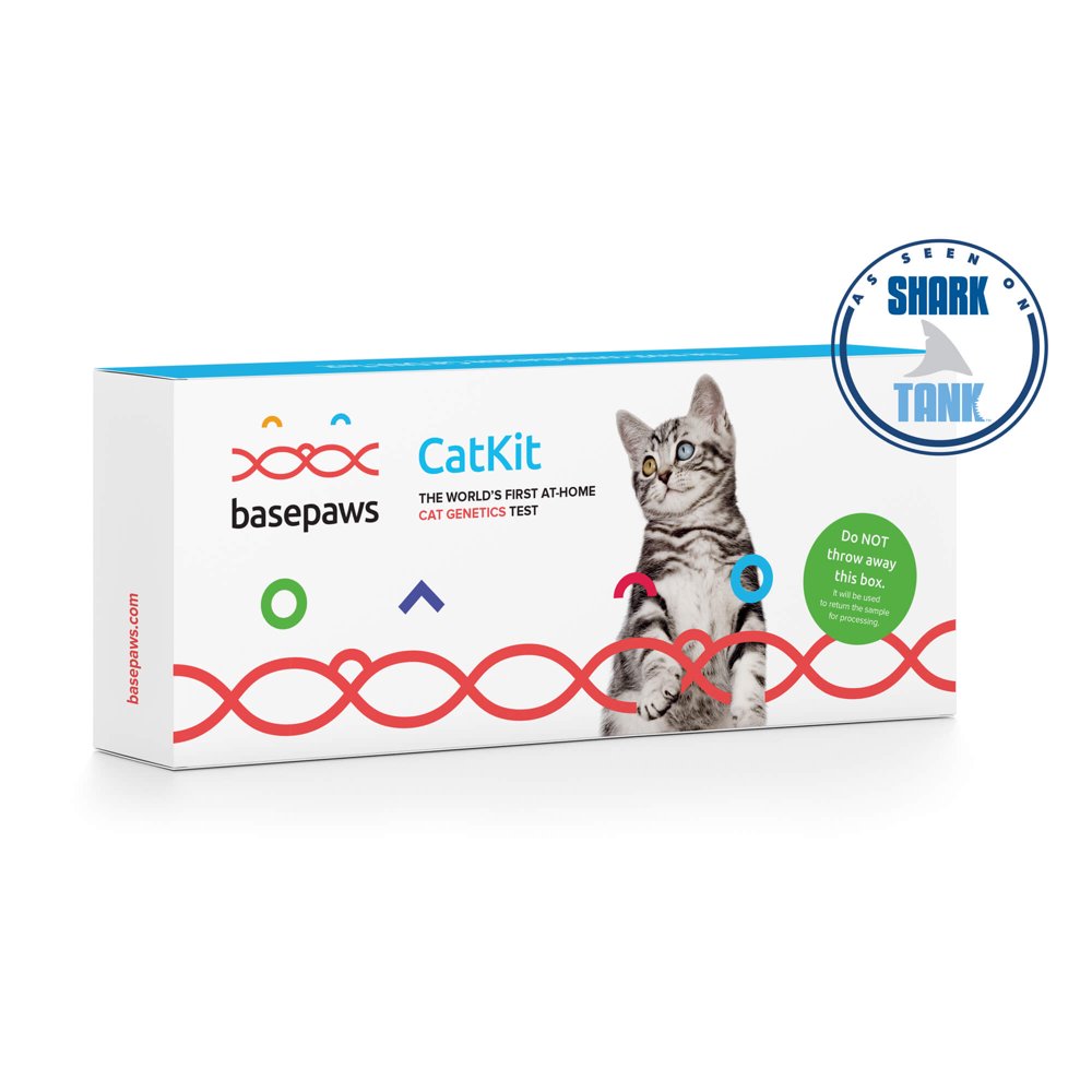 Basepaws Cat DNA Test Kit