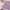 Purple, variant on Juslio Girls Dresses Round Neck Kids Flower Clothing Short Sleeve Solid Casual Girl Dress
