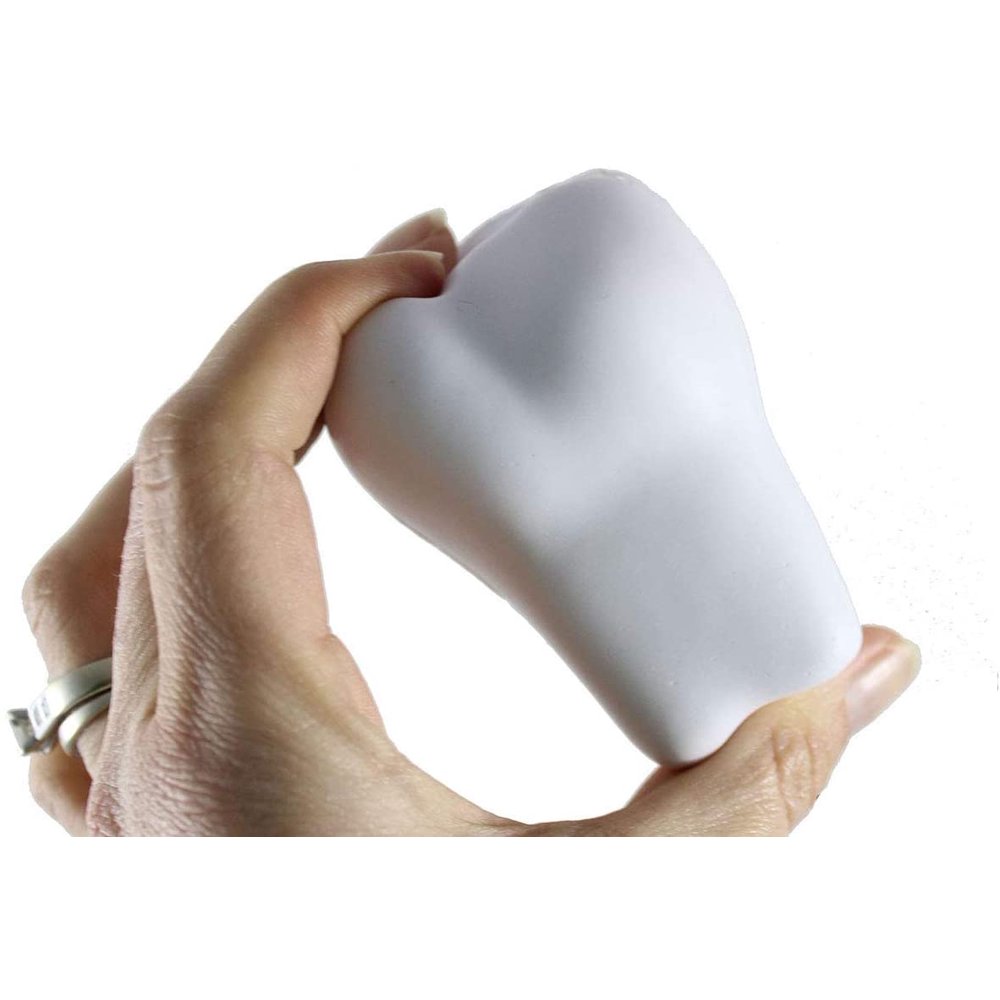 1 Tooth Stress Balls Office, Teeth, Med Student Anatomy Dentist