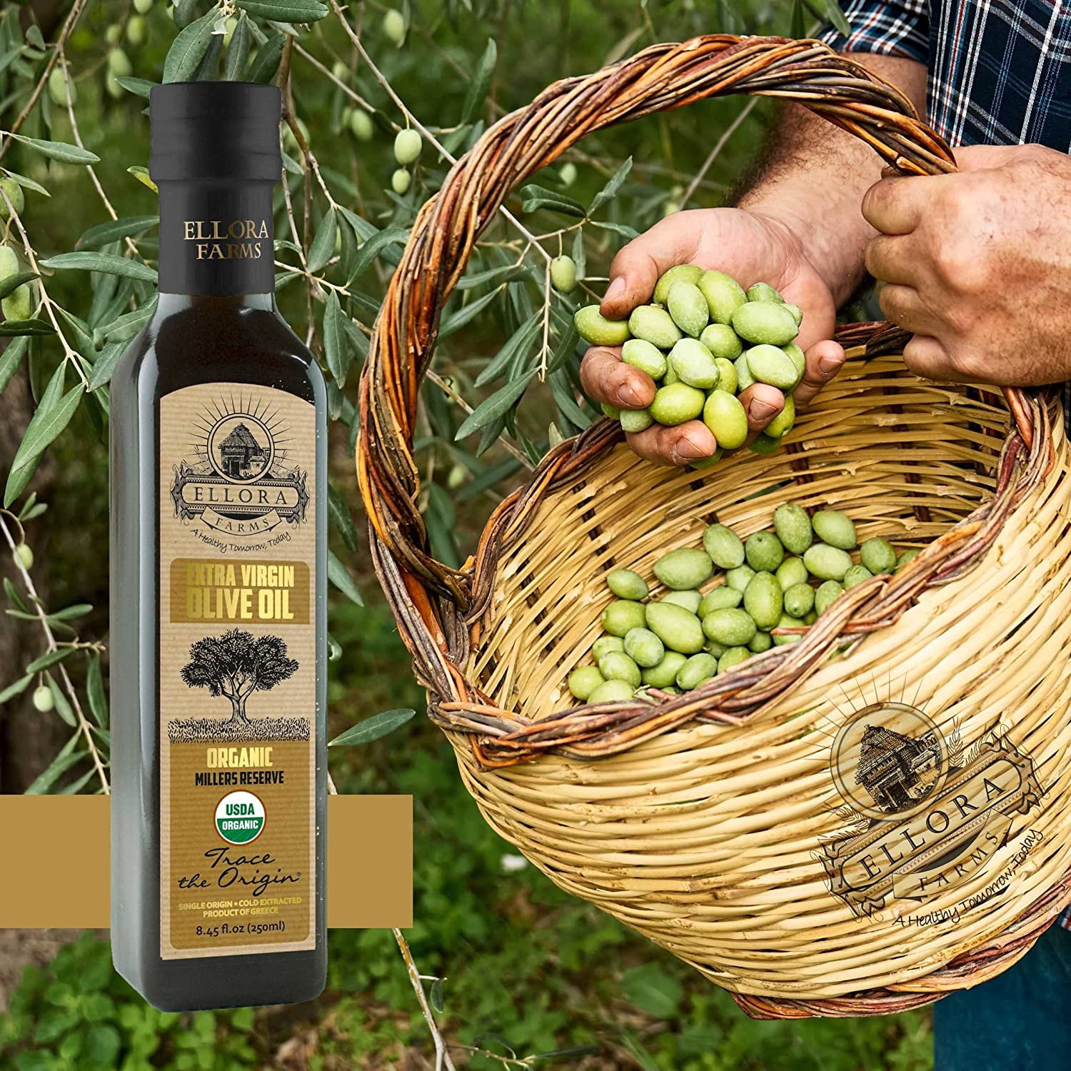 Ellora Farms, 100% Organic Greek Extra Virgin Olive Oil, Traceable, Gold Award Winner, 8.45 oz., Pack of 2