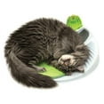 thumbnail image 3 of Station de bien-être Senses Catit 2.0, 3 of 5