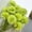 A*10, variant on Artificial Dandelion Chrysanthemum Flowers for Bridal Wedding Bouquet, Silk Hydrangea Flowers for Kitchen Home Decor, Realistic Faux Flowers for Centerpiece Arrangement, 10Pcs Artificial Flower