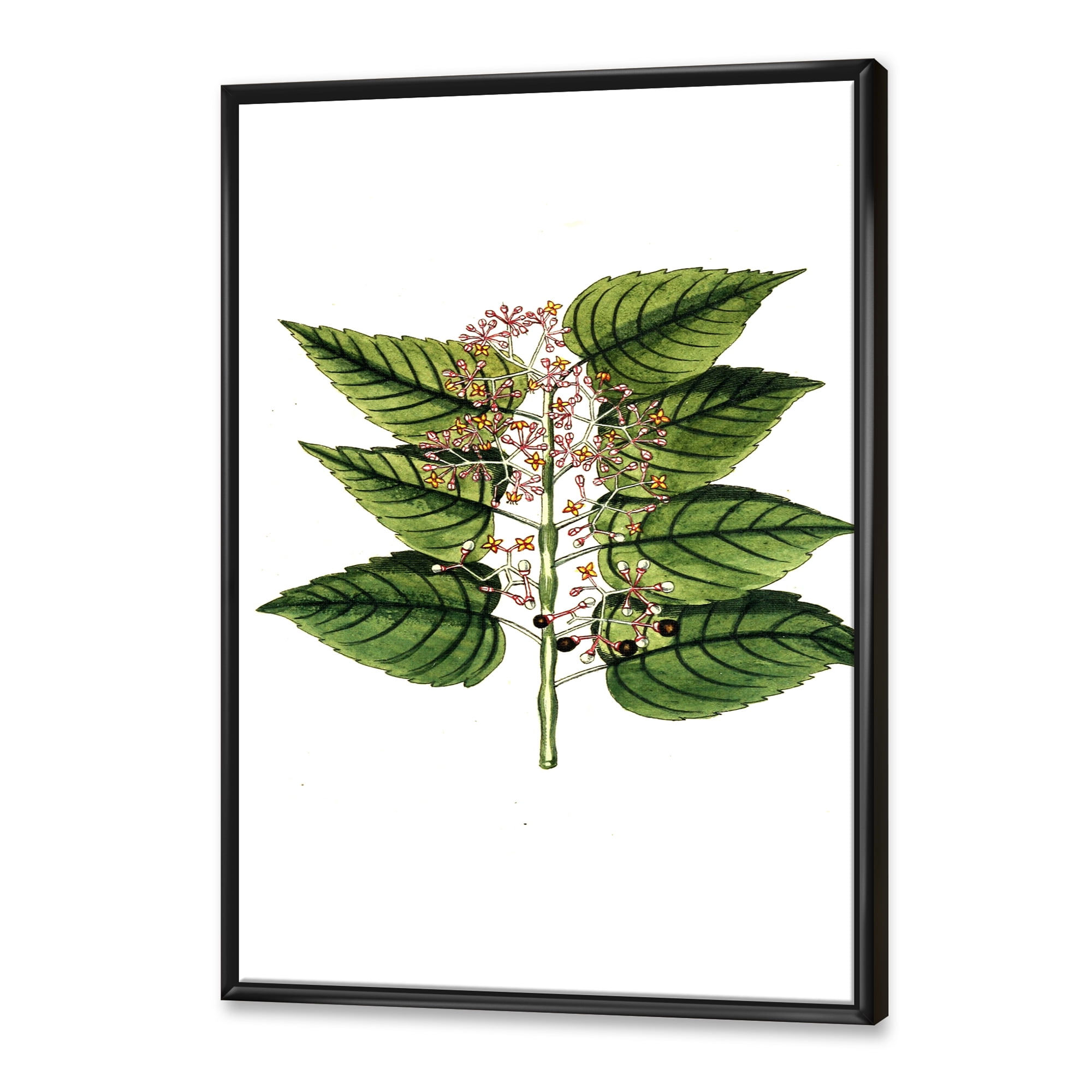 Designart 'Ancient Plant Life XXVI' Traditional Framed Canvas Wall Art Print