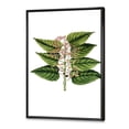 thumbnail image 4 of Ancient Plant Life XXVI 30 in x 40 in Framed Painting Canvas Art Print, by Designart, 4 of 5
