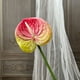 thumbnail image 1 of Flor de imitación de anturio,grulla de fuego,palmera artificial,arreglo floral para el salón de bodas,vegetación para el hogar,flores artificiales decorativas, 1 of 6