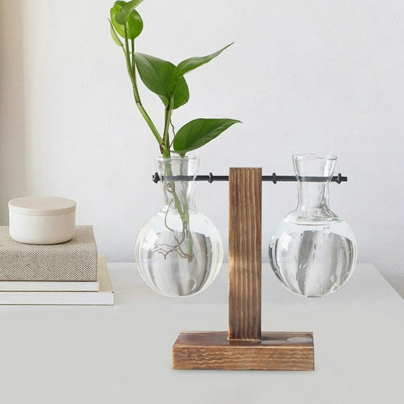 WHAMVOX 3pcs Hydroponic Vase for Plant Propagation Clear Glass Glass Terrariums Vase for Propagating Hydroponic Plants Flowers