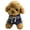 Blue, variant on BESTSKY 2026 New Dog Stuffed Animal,Lively Teddy Bear Puppy Stuffed Animal,Soft and Huggable Dog Plush,For Kids,Gift,Playtime,Home Decor,Green,20Cm