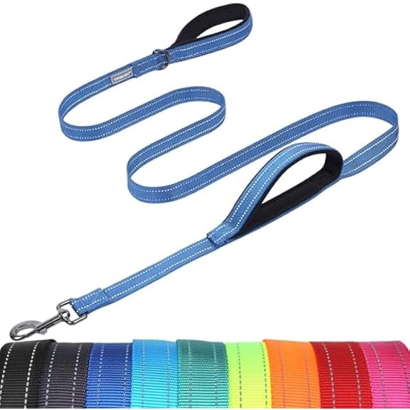 Eryueer Dog Leash Twingrip Double Handle Dog Leash with Traffic Handle Control & 2 Loop for Walking & Training, Reflective Heavy Duty for Puppy Pet Collar, 4ft x 1in, Blue
