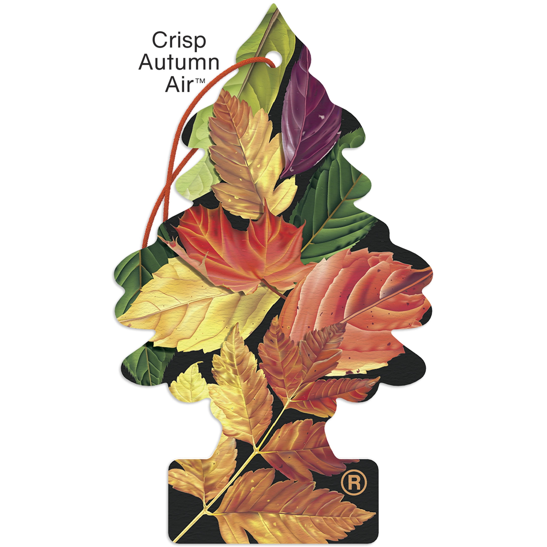 Little Trees Air Freshener Crisp Autumn Air Fragrance 3-Pack