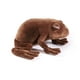 thumbnail image 3 of Peluche The Noble Collection Harry Potter Chocolate Frog, 3 of 7