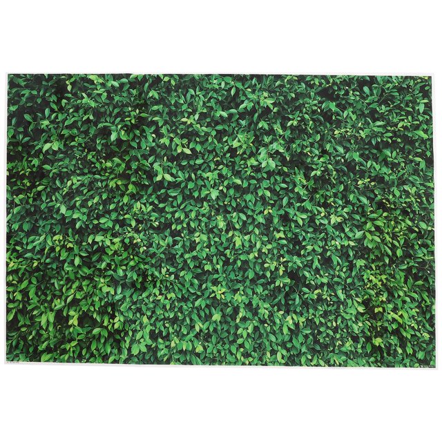 Square Green Leaves Backdrop Grass Background Spring Scene Photography